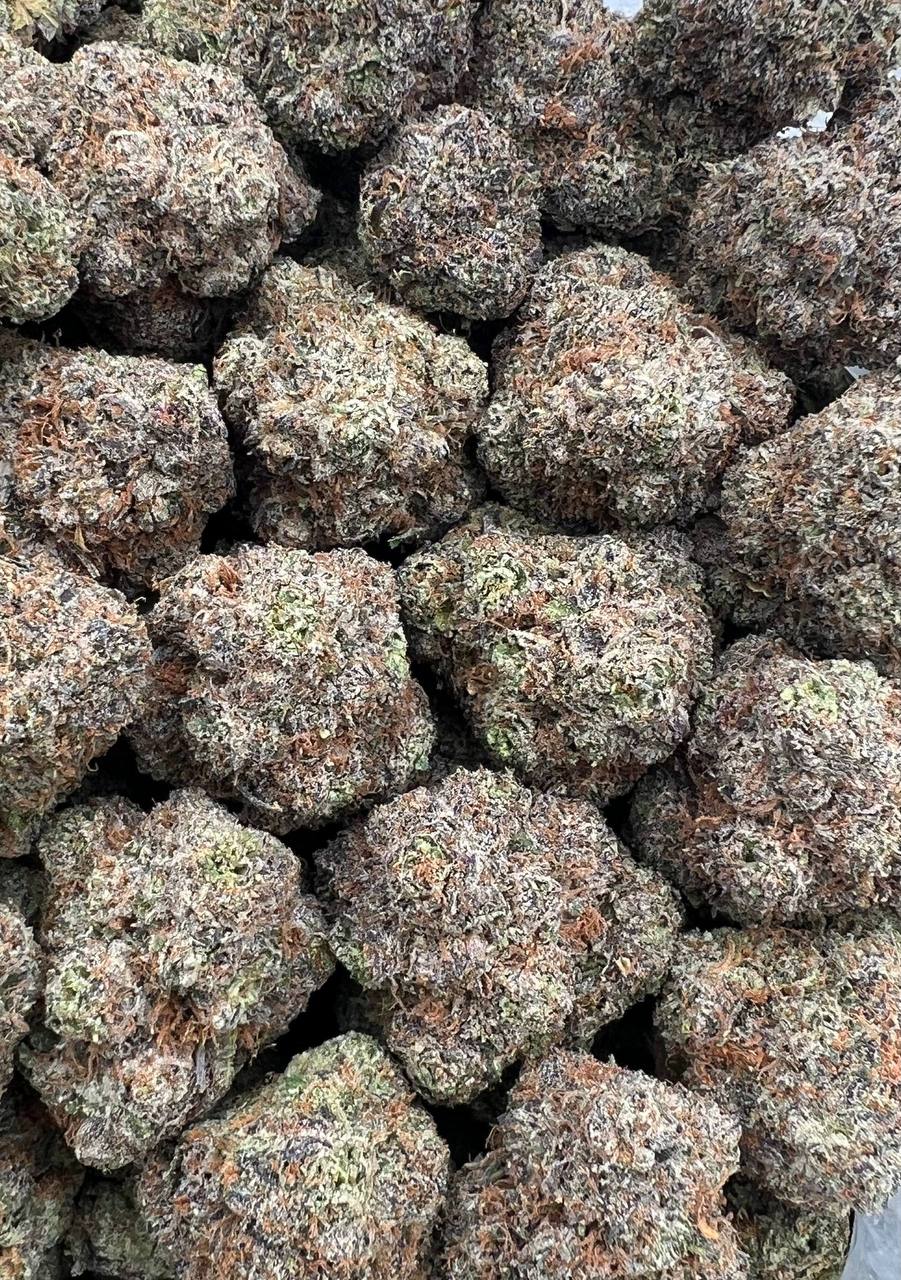 Limoncello strain image